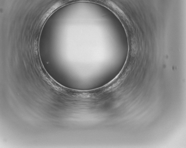 X0000060241329200511111919