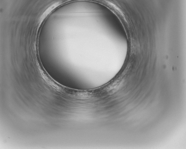 X0000060241330200511111919