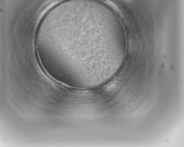 X0000060241331200511111919