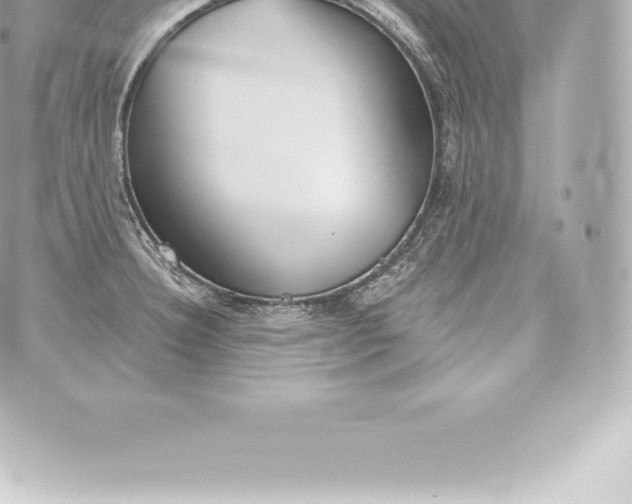 X0000060241332200511111919