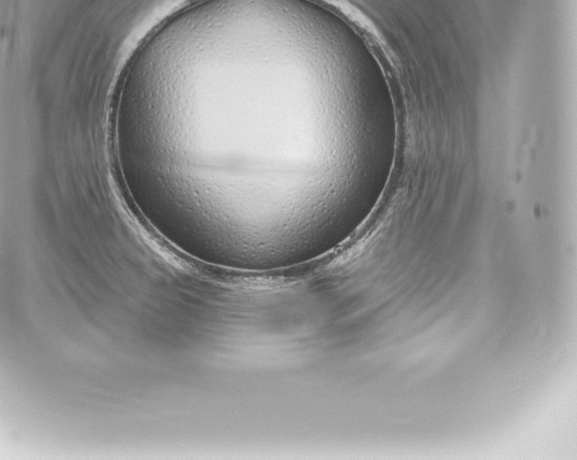 X0000060241333200511111919