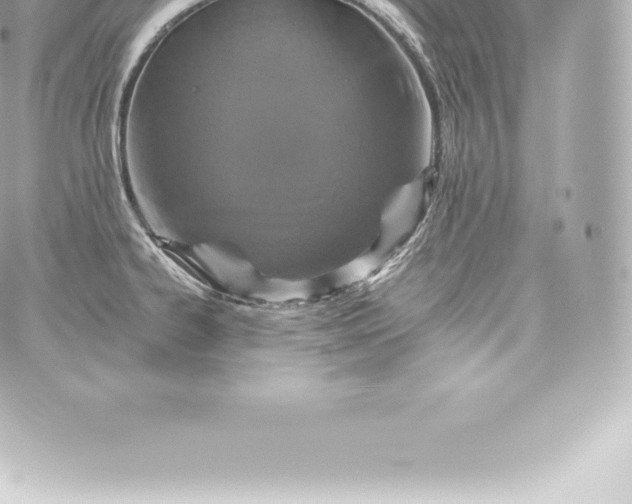 X0000060241334200511111919