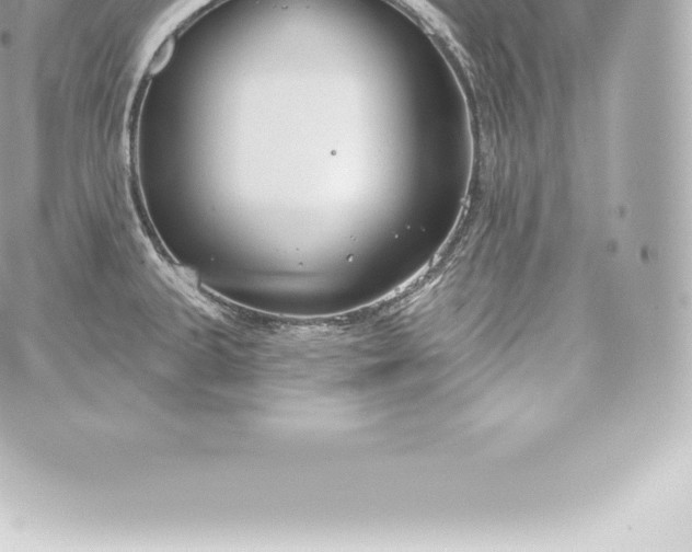 X0000060241335200511111919