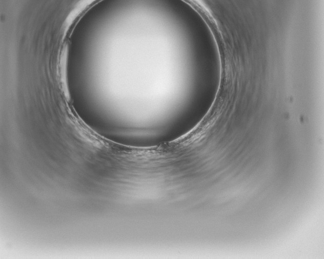 X0000060241336200511111919