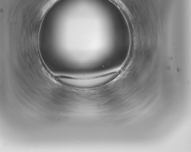 X0000060241337200511111919