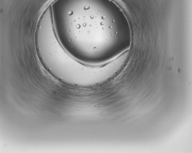 X0000060241338200511111919