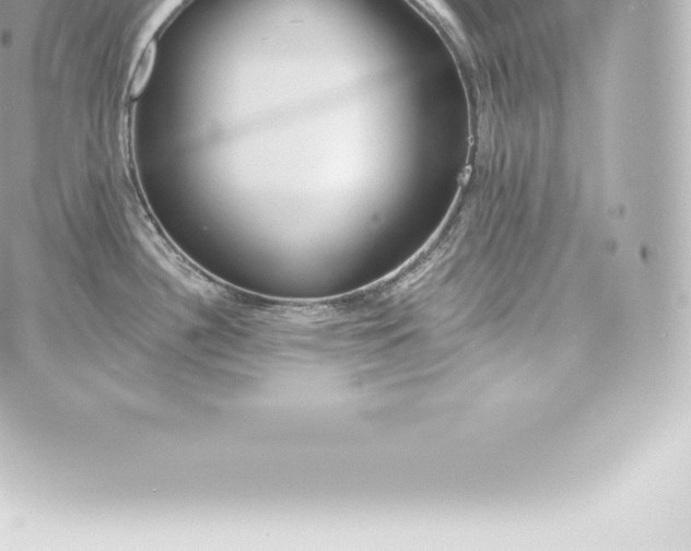 X0000060241340200511111920