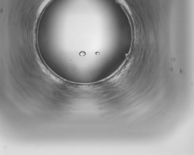 X0000060241341200511111920