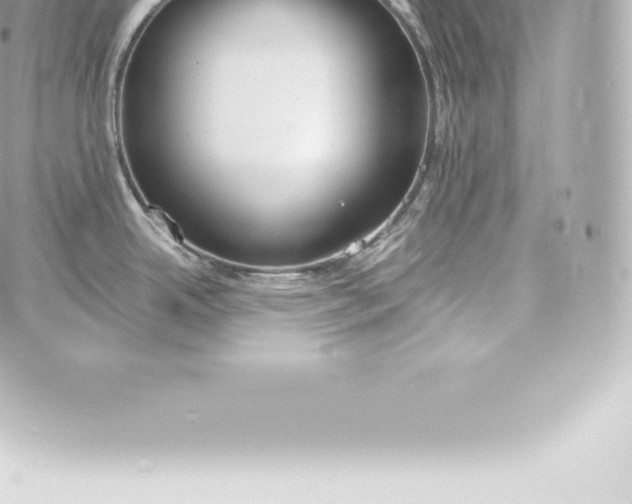 X0000060241342200511111920