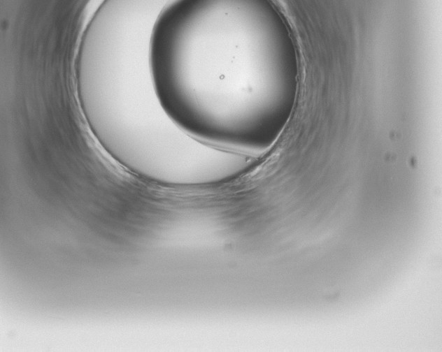 X0000060241344200511111920