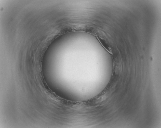 X0000060241345200511111919