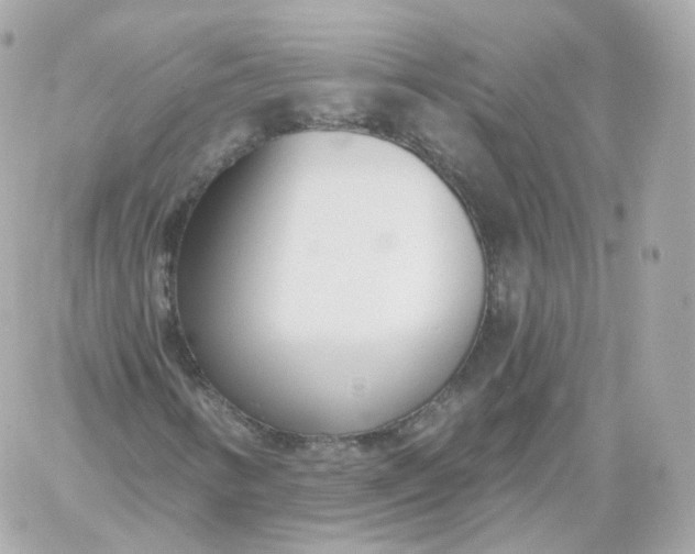 X0000060241346200511111919