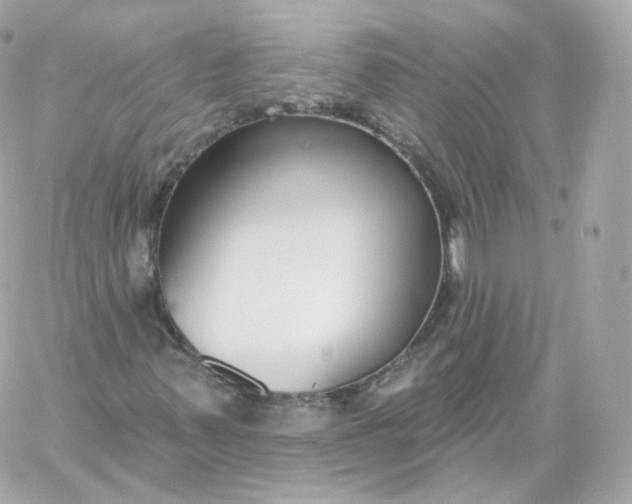 X0000060241347200511111919