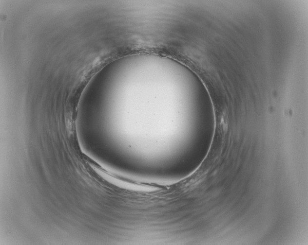 X0000060241348200511111919