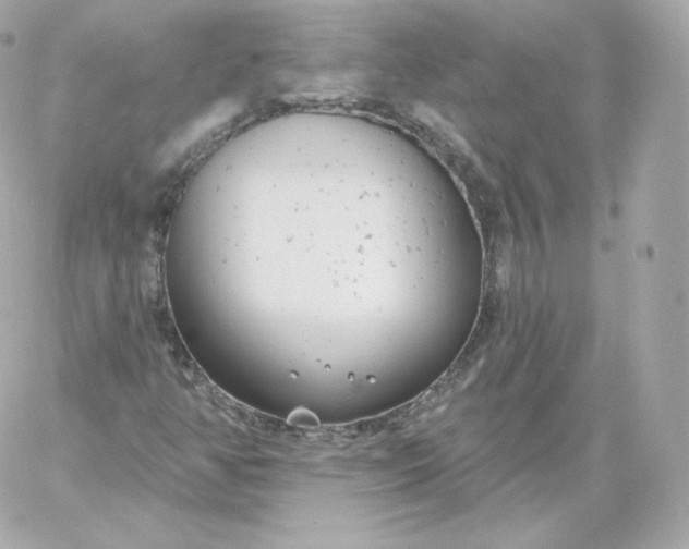 X0000060241350200511111919