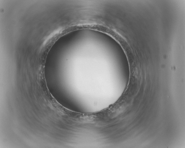 X0000060241351200511111919