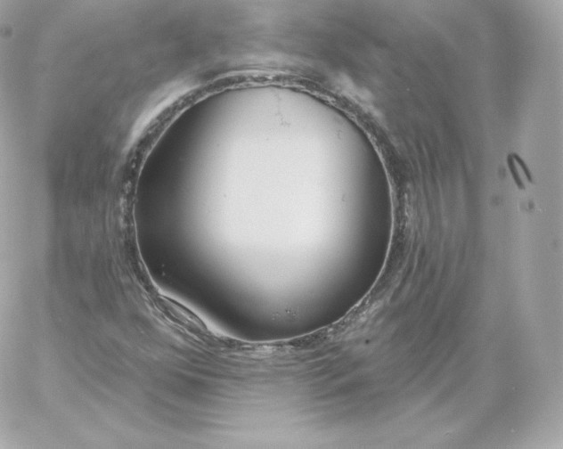 X0000060241352200511111919