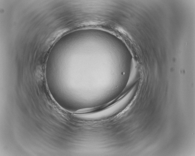 X0000060241353200511111919