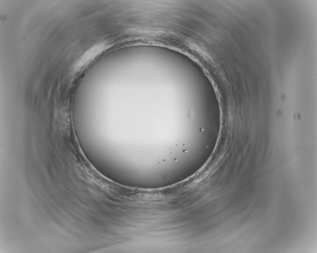 X0000060241354200511111919