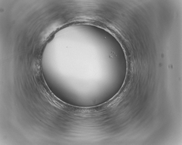 X0000060241355200511111919