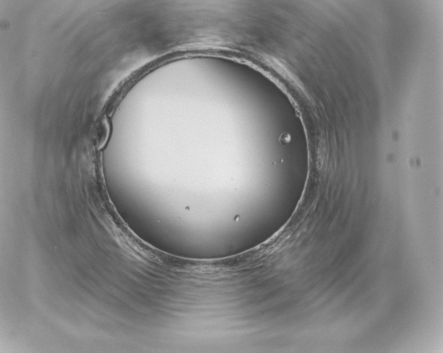 X0000060241356200511111919