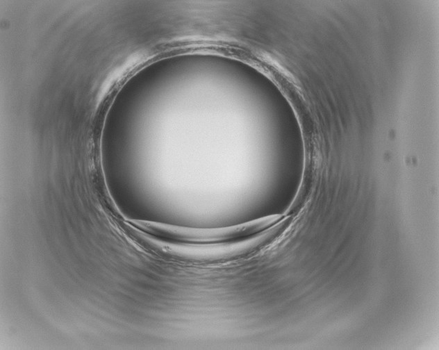 X0000060241357200511111919