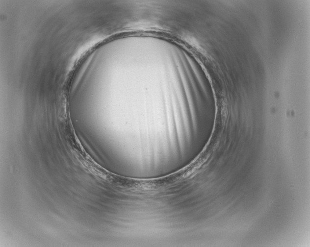 X0000060241358200511111918