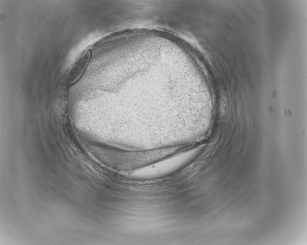 X0000060241359200511111918