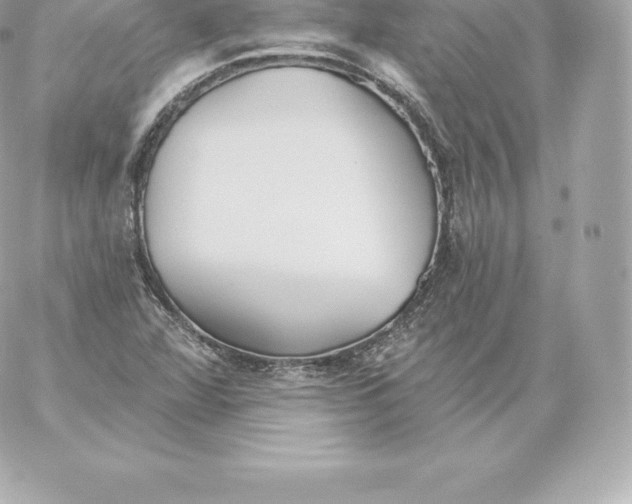 X0000060241360200511111918