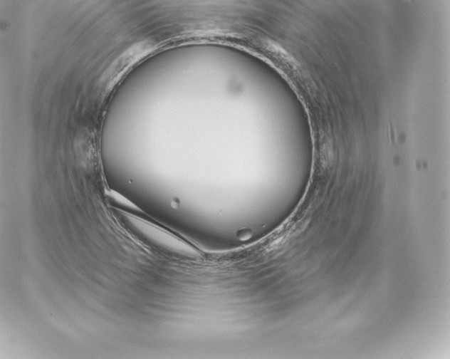 X0000060241361200511111918