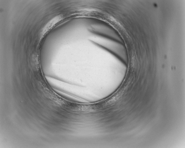 X0000060241362200511111918