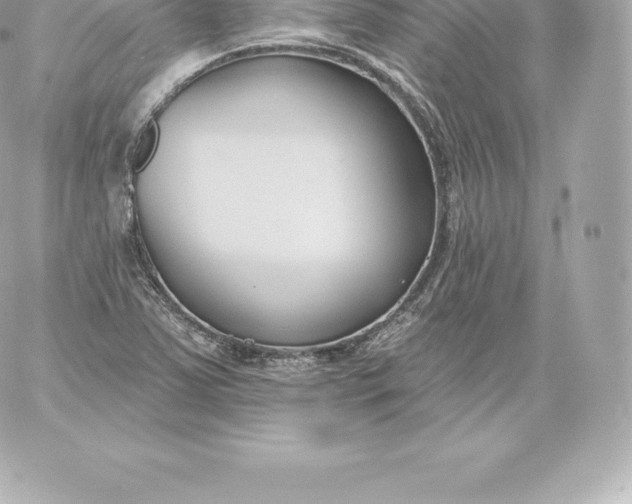 X0000060241363200511111918