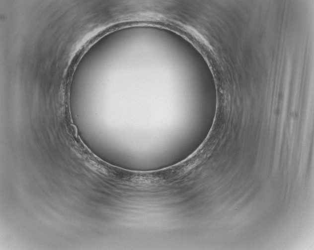 X0000060241364200511111918