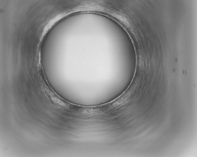 X0000060241366200511111918