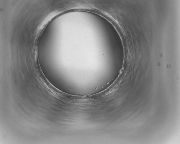 X0000060241367200511111918