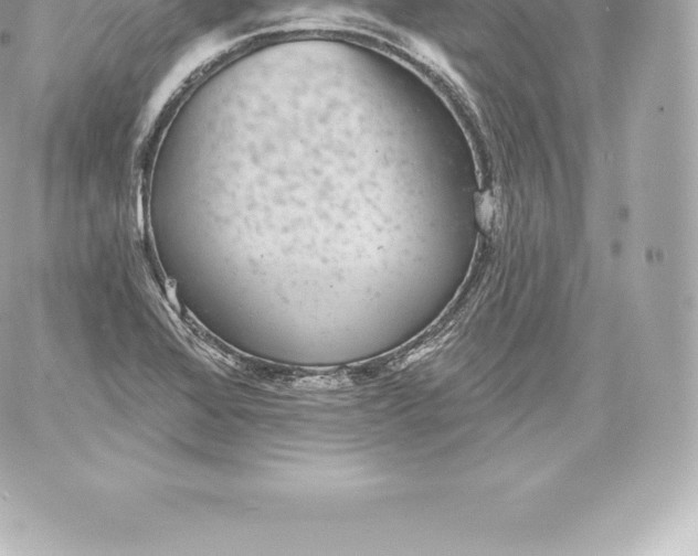 X0000060241368200511111918