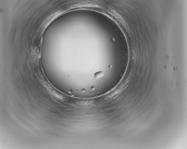 X0000060241369200511111918