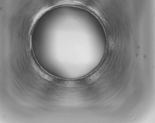 X0000060241371200511111918