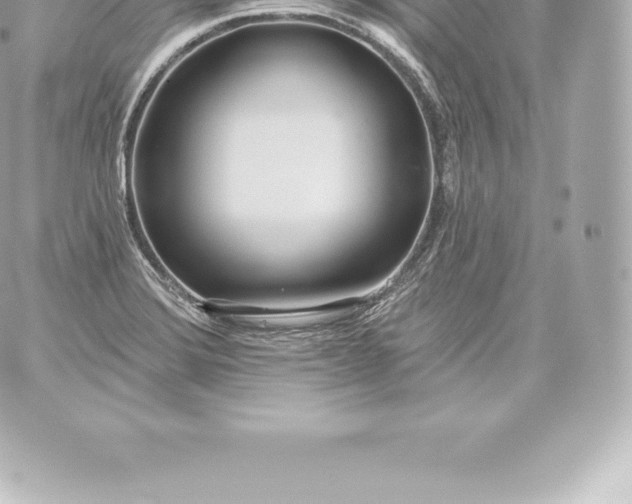 X0000060241372200511111918