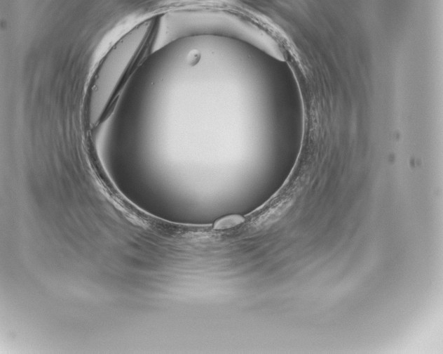 X0000060241373200511111918