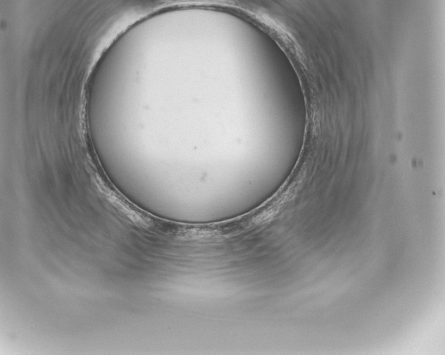 X0000060241374200511111918