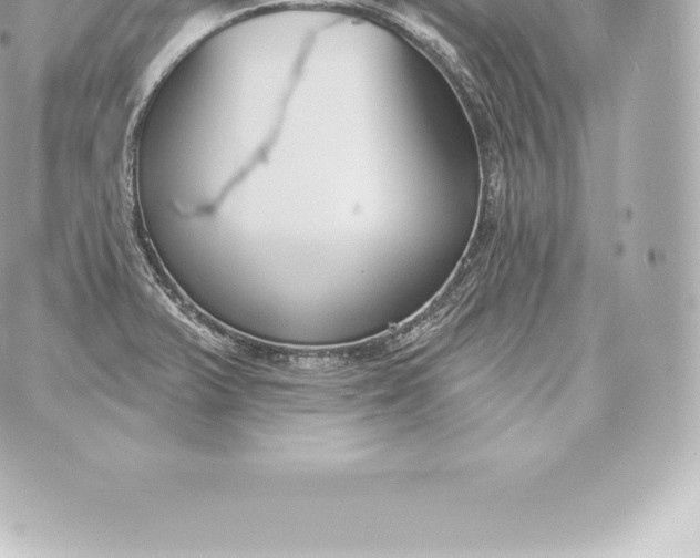 X0000060241375200511111918