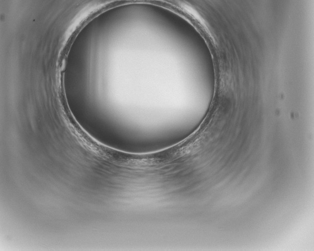 X0000060241376200511111918