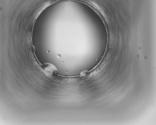 X0000060241377200511111918