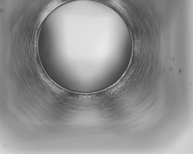 X0000060241378200511111918