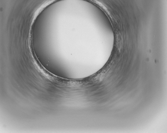 X0000060241379200511111918