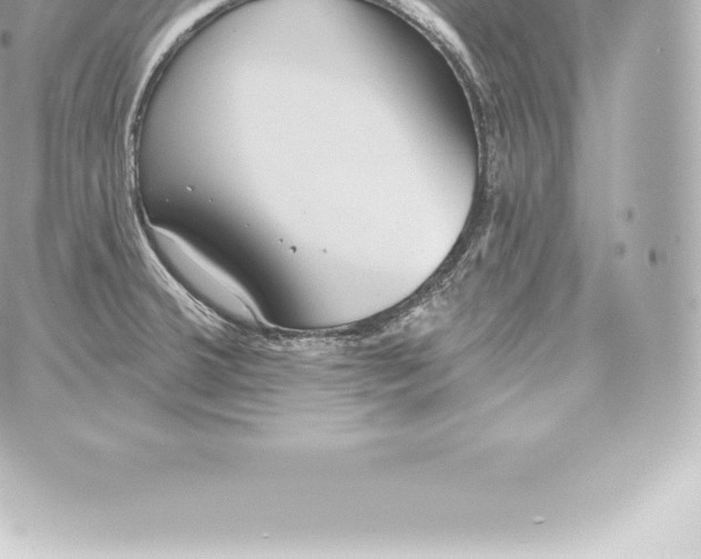 X0000060241380200511111918