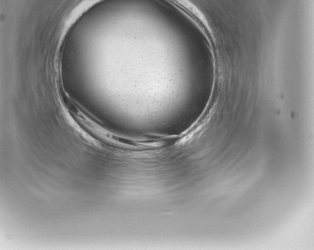 X0000060241381200511111918