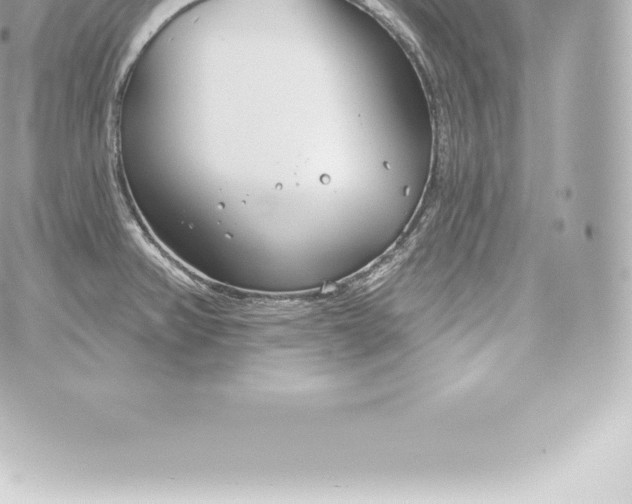 X0000060241382200511111918