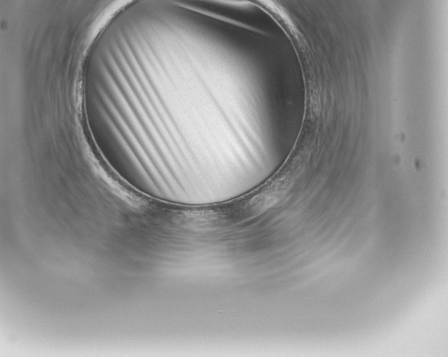 X0000060241383200511111918